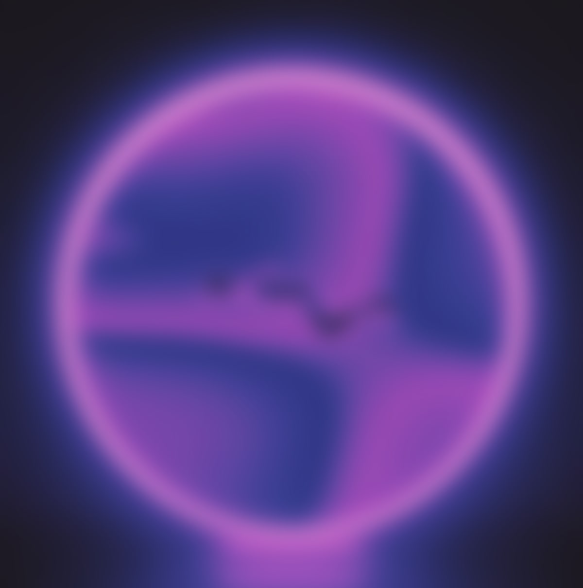 Project preview — 3D visualization